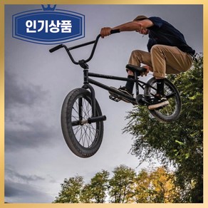 BMX 자전거 묘기 바이크 입문용 스턴트 경량, 1개, 142cm, 자이로 블루