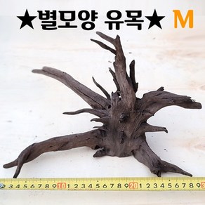 반짝반짝 별모양 유목 M사이즈(25~30cm내외), 1개