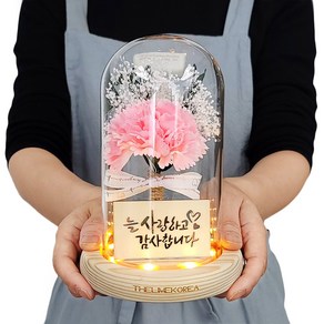 더라임코리아 LED 베이직 카네이션 유리돔 무드등 어버이날 선물, 핑크, 1개