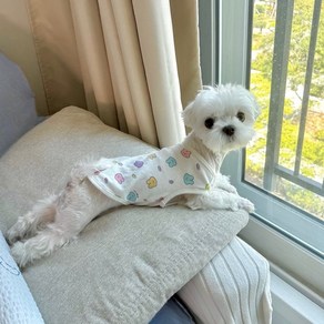 강아지 고양이 오가닉 실내복 순면 잠옷, S, 1개