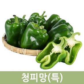 실속형 청피망(특) 5kg 1박스 굵은 사이즈 두리반농산, 1개