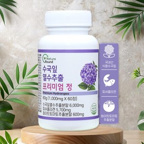 네이처라운드 수국잎열수추출물 AMPK효소 1000mg, 5개, 60정