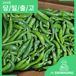 국내산 오이고추 아삭이고추 못난이 가정용 [신흥유통][무료배송][산지직송], 1개, 아삭이 고추 1kg (가정용/못난이)