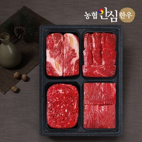 [농협안심한우] 1등급 일품혼합세트 (등심+안심+불고기+장조림)/팩당400g/총1.6kg, 1개, 400g