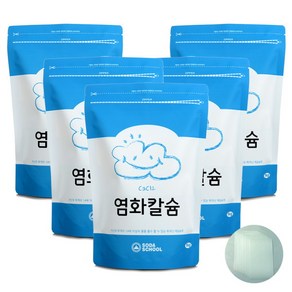 [소다스쿨] 제습제 리필용 구슬타입 염화칼슘 1kg 5개+방수투습지8장, 5개