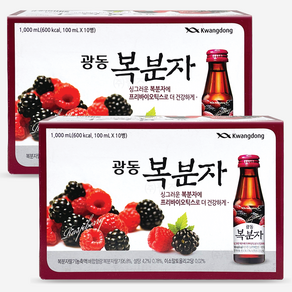 광동 복분자 음료, 100ml, 20개