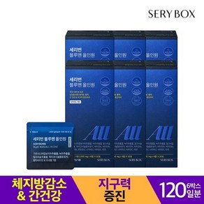 세리박스 세리번 블루맨 올인원 120일분, 20회분, 480g, 1개