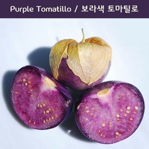 Puple Tomatillo 퍼플 토마틸로 희귀토마틸로 교육 체험용 세트, 1개