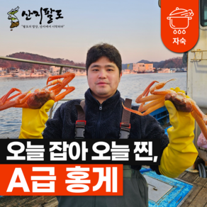 [산지팔도] 제철 홍게 찜 자숙 연지홍게 동해안 박달 붉은 포항 구룡포 3kg, 1박스, 실속형 연지홍게 2kg (7미내외)