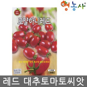 로얄하니 레드 대추방울토마토 씨앗 20립 방울토마토 키우기, 1개