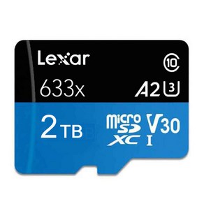 LEXAR 633X 2TB U3 A2 V30 Mico Cad SDXC Class 10 메모리 카드 플래시 Micosd TF Mini 카드 2T, 1개