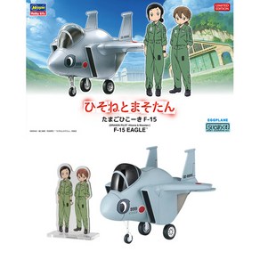 [HG52184/계란비행기][SP384] 히코 F-15