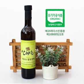 익모초 효소 발효액 유기농 이의영 산야초 효소 500ml, 1개