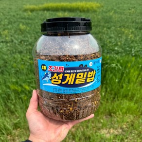 SB 성게밑밥 (3Kg), 1개, 3kg