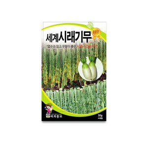 모칸도 세계종묘 시래기무 30g, 1개