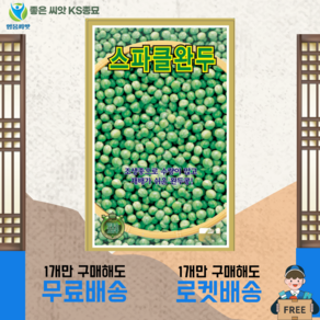 스파클 완두콩 씨앗 (40g) 종묘 종자 콩 씨 영웅 KS, 1개