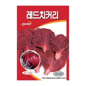 경신종묘 치커리씨앗 레드치커리 900립, 1개