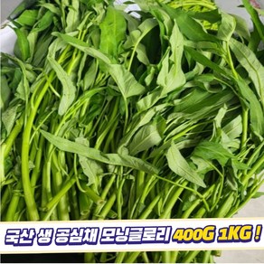 국산 공심채 모닝글로리 쌈채소 베트남채소, 1개, 400g