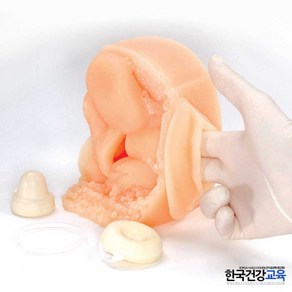 성교육용품-여성피임교육모형(실리콘재질) 직접실습가능ㅣ학교보건교육자료, 상세페이지 참조