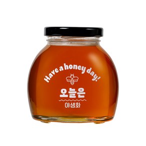 [오늘은 꿀] 야생화 100% 국산 숙성꿀, 2개, 200g