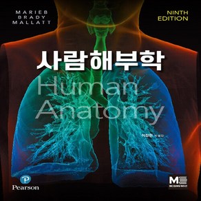 NSB9791191431995 새책-스테이책터 [사람해부학] -9판--메디컬에듀케이션-Elaine N. Maieb 외 지음 이창현 옮김-해부학-2, 사람해부학