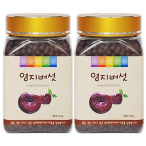 국산 영지버섯환 한방 한약 건강환 동의한약나라, 250g, 2개