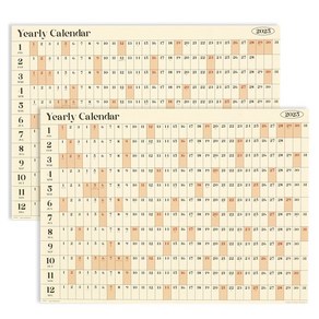 페이퍼리안 2025년 리마인드 이얼리 포스터 캘린더 2p 세트, 투명, 1개