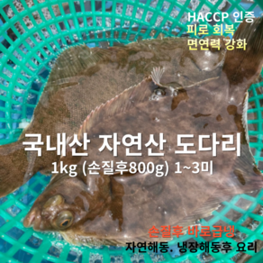 [산지직송] 국내산 자연산 남해 활도다리 1kg (손질후 800g 1미~3미) 1박스