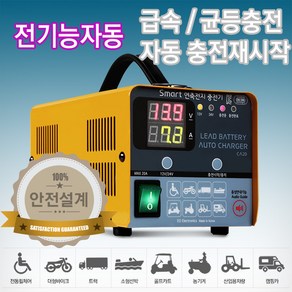 이오전자 12V 24V 겸용 국산 스마트충전기 CA20 [3시이전 주문건 당일발송] 12V200Ah 24V100Ah까지 배터리충전 연축전지 납축전지 산업용 발전기용