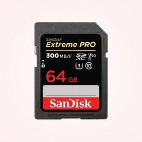 샌디스크 익스트림 프로 SD카드 UHS-II, 64GB, 1개