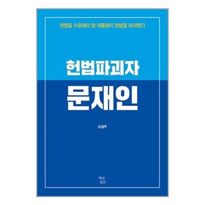 백년동안 헌법파괴자 문재인 (마스크제공), 단품, 단품