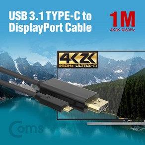 Coms USB 3.1 Type C(M) to DP(M) 변환 컨버터 케이블 1M / 디스플레이포트 / DisplayPot DM478