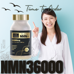 일본 NMN 영양제 효능 프리미엄 36000mg 노화의 종말, 1개, 120정