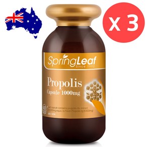 호주코알라몰 스프링리프 프로폴리스 1000mg 400캡슐 2개 작은캡슐 Spingleaf Popolis, 3개, 400정