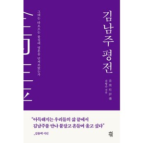 김남주 평전:그대는 타오르는 불길에 영혼을 던져보았는가, 김형수 저, 다산책방