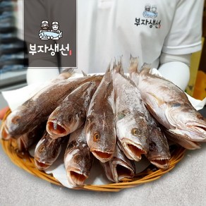 반건조 민어 조기 세트 반찬용 (부자생선), 민어조기30cm 10마리, 1세트