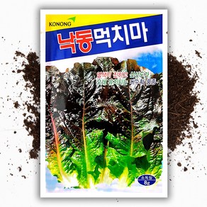 씨앗팜 낙동 먹치마 상추 씨앗 종자 8g 쌈채소 씨앗 상추씨, 1개