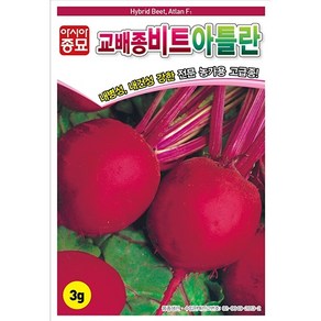 아시아종묘 씨앗 비트 아틀란 3g, 1개