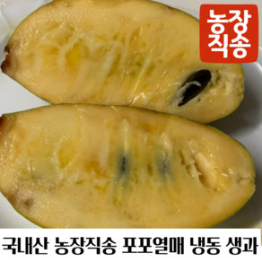 국내산 농장직송 포포나무열매 포포열매 냉동생과, 1개, 2kg