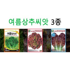 여름상추씨앗 3종 세트 6월 고온기 채소씨앗 파종 종자