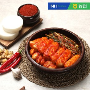 [더조은푸드] 농협 풍산김치 총각김치 3kg, 1개