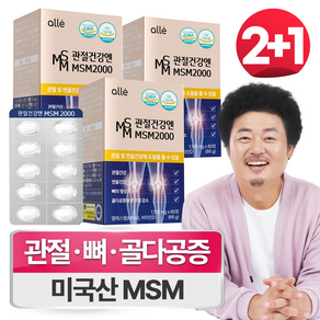 MSM 관절 식이 유황 영양제 엠에스엠 2000