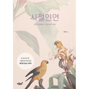 시절인연 - 모든 인연에는 시기와 때가 있다 : 별처럼 빛날 너에게(타로시집), 시현 저, 지식과감성#