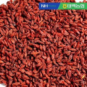 [농협] 우리농산물 한산애 진도 구기자 300g, 1개