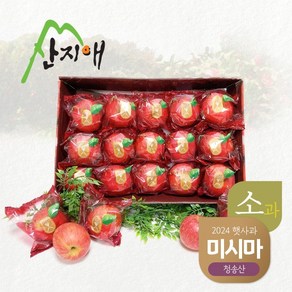 씻어나온 어린이 꿀사과 2.7kg 1box / 봉지 세척사과 당도선별 12bix, 없음