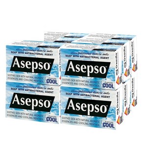 Asepso 아셉소 항균 비누 Soothing Cool 멘톨향 70g X 12개