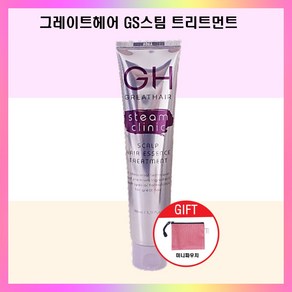 시즌2 최신상 그레이트헤어 GH스팀 트리트먼트 110ml 노워시 헤어에센스 탈모관리 1개+파우치증정, 1개