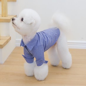 강아지 블루 코튼 셔츠, 1개