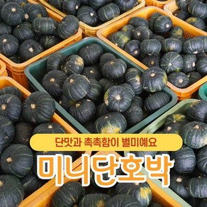 당도 맛 영양최고 국내산 정품 미니밤호박 단호박 5kg 1개