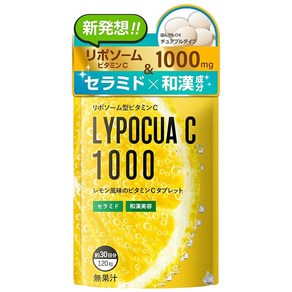 리포츄어 C 고농도 비타민C 1000mg (30일/120알) 고농도 리포좀 비타민 C 타임 릴리즈 비타민 C 유도 체처블 세라마이드 보충제 한약 생약 연구소, 1개, 120정